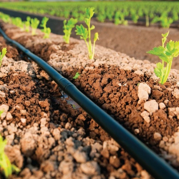 Sanica csepegtető cső DN16 20cm 1,0mm 2L/h